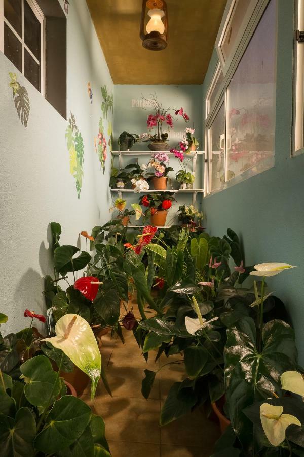 Paradise House Calheta ภายนอก รูปภาพ